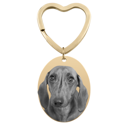 Personalized Oval Dog or Cat Photo Engraved...
