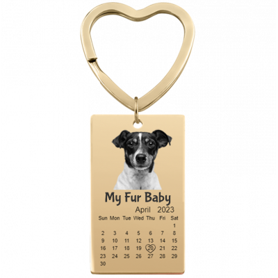 Engraved Dog or Cat Photo, Text, and Calendar...